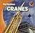 Cranes (Big Machines: Transitions to Literacy)