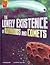 The Lonely Existence of Asteroids and Comets (Adventures in Science)