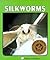 Silkworms
