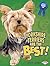 Yorkshire Terriers Are the Best! (The Best Dogs Ever)