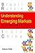 Understanding Emerging Markets: Building Business BRIC by Brick