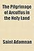 The Pilgrimage of Arculfus ...