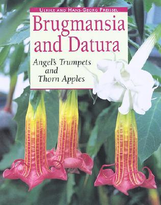 Brugmansia and Datura: Angel's Trumpets and Thorn Apples (Paperback)