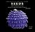 Seeds by Rob Kesseler
