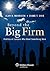 Beyond the Big Firm: Profil...