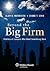 Beyond the Big Firm by Alan B. Morrison