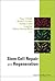 Stem Cell Repair and Regeneration