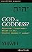 God or Goddess? by Manfred Hauke