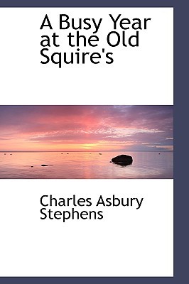 A Busy Year at the Old Squire's (Paperback)