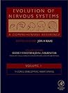 Evolution of Nervous Systems Evolution of Nervous Systems