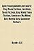 Lgbt Young Adult Literature: Gay Teen Fiction, Lesbian Teen Fiction, Gay Male Teen Fiction, Annie on My Mind, Boy Meets Boy, Summer Sisters