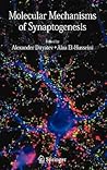 Molecular Mechanisms of Synaptogenesis