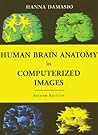 Human Brain Anatomy in Computerized Images Human Brain Anatomy in Computerized Images