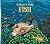 Place for Fish, a