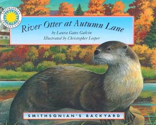 River Otter at Autumn Lane - a Smithsonian's Backyard Book (Mini book)