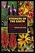 Strength of the Earth: The Classic Guide to Ojibwe Uses of Native Plants