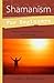 Shamanism for Beginners: Walking With the World's Healers of Earth and Sky (Llewellyn's For Beginners, 26)