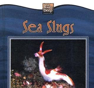 Sea Slugs (Weird Wonders of the Deep)