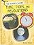 Time, Tides, and Revolutions (The Science Behind)