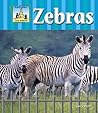 Zebras (Zoo Animals)