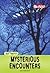 Mysterious Encounters (Out There)