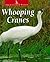 Whooping Cranes (The Untamed World)