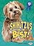 Shih Tzus Are the Best! (The Best Dogs Ever)