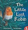 The Little Lost Robin by Elizabeth Baguley