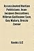Assassinated Haitian Politicians: Jean-Jacques Dessalines, Vilbrun Guillaume Sam, Guy Malary, Oreste Zamor