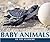 Baby Animals of the Seashore (Nature's Baby Animals)