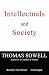 Intellectuals and Society