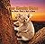 The Koala Bear: The Bear That's Not a Bear (The Tony Stead Nonfiction Independent Reading Collection: Animals)