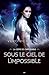 Sous le ciel de l'impossible by Veronica Rossi