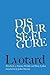 Discourse, Figure by Jean-François Lyotard Discourse, Figure by Jean-François Lyotard