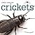 Crickets (Creepy Creatures)