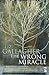 The Wrong Miracle (Salt Modern Poets)