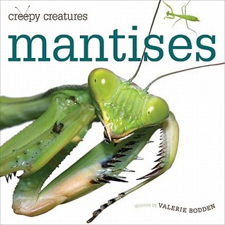 Mantises (Creepy Creatures)