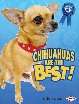 Chihuahuas Are the Best! (The Best Dogs Ever)