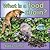 What Is a Food Chain? (My World: Reading Level H)