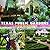 Texas Public Gardens by Elvin McDonald