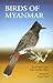 Birds of Myanmar