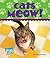 Cats Meow!