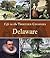 Delaware (Life in the Thirteen Colonies)