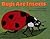 Bugs Are Insects (Let's-Read-and-Find-Out Science 1)