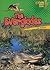 The Everglades (Lightning Bolt Books ® ― Famous Places)