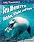 Sea Hunters: Dolphins, Whales, And Seals (Wild Predators)
