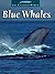 Blue Whales (The Untamed World)