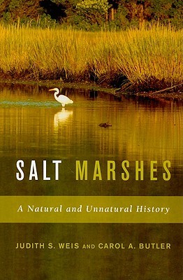 Salt Marshes: A Natural and Unnatural History (Paperback)