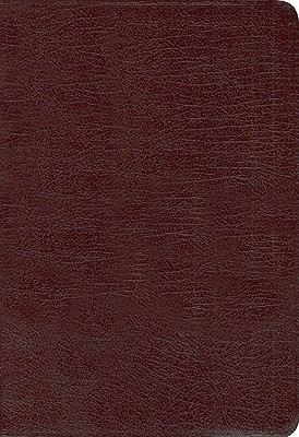 NIV, New Testament with Psalms & Proverbs (Holy Bible)