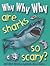 Why Why Why Are Sharks So S...